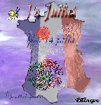 Gifs Fête Nationale&nbsp;(28)