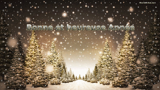 Gif animé Bonne année