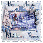 Gif animé Bonne année&nbsp;(9)